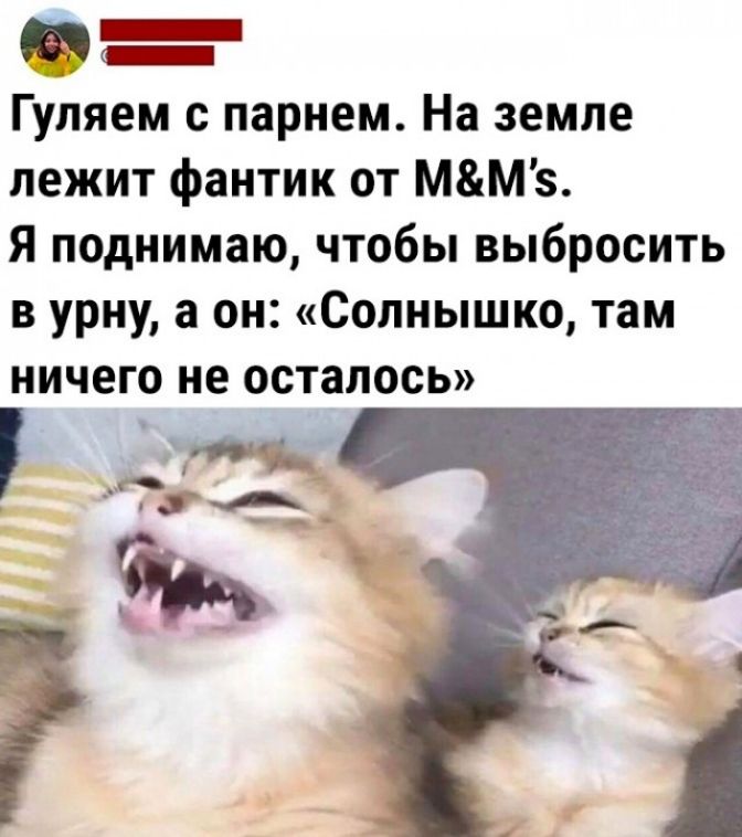 Гуляем с парнем На земле лежит фантик от ММз Я поднимаю чтобы выбросить в урну а он Солнышко там ничего не осталось