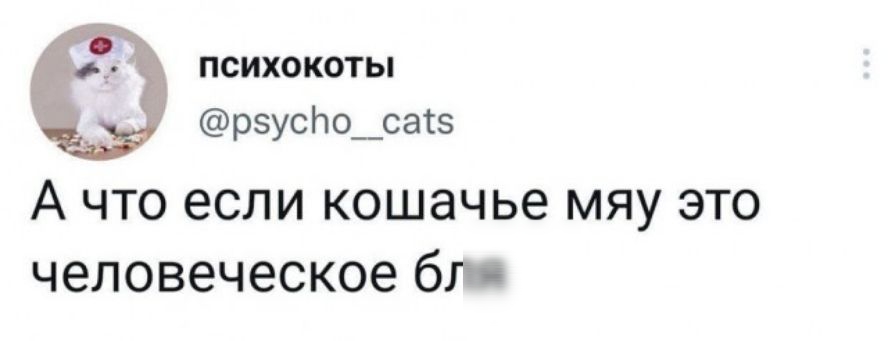 психокоты рзусЬосак5 А что если кошачье мяу это человеческое бля