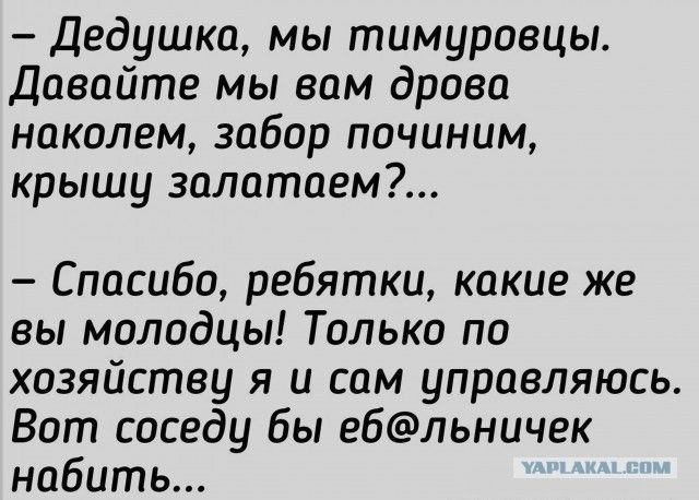 Дедушка мы тимуроецы Давайте мы вам дрова наколем забор починим крышу залатаем Спасибо ребятки какие же вы молодцы Только по хозяйству я и сам управляюсь Вот соседу бы ебльничек набить