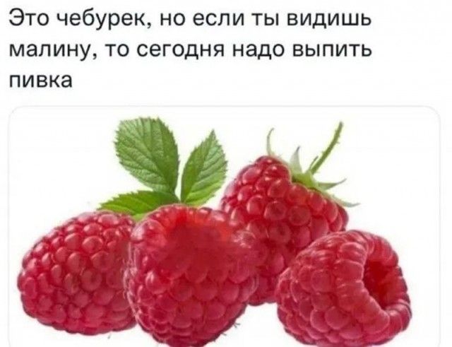 Это чебурек но если ты видишь малину то сегодня надо выпить пивка