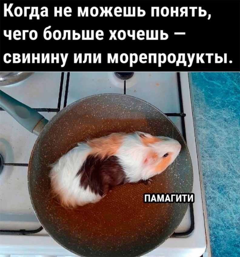 Когда не можешь понять чего больше хочешь свинину или морепродукты
