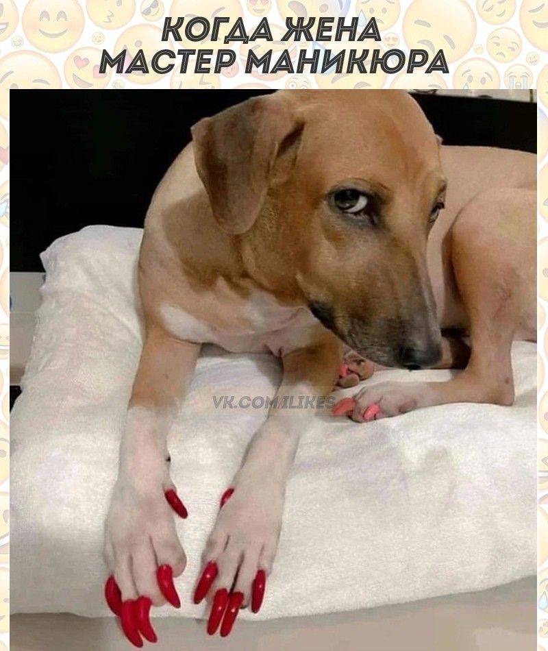 КОГ АА ЖЕНА МАСТЕР МАНИКЮРА