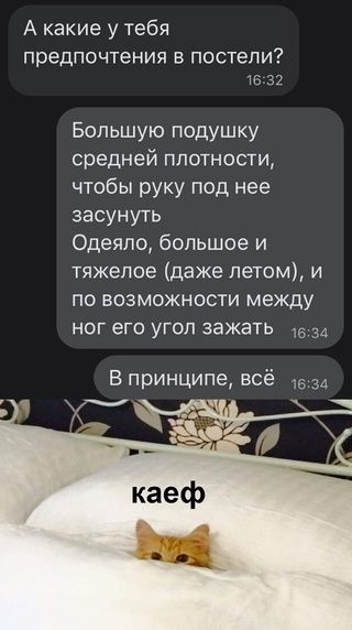 А какие у тебя предпочтения В ПОСТЕПИ 16 32 Большую подушку средней плотности чтобы руку под нее засунуть Одеяло большое и тяжелое даже летом и по возможности между ног его угол зажать 34 В принципе всё 1534