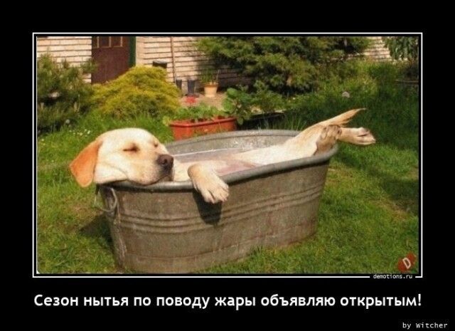 се итд по поводу жиры пбъянлпю пткрьпымі