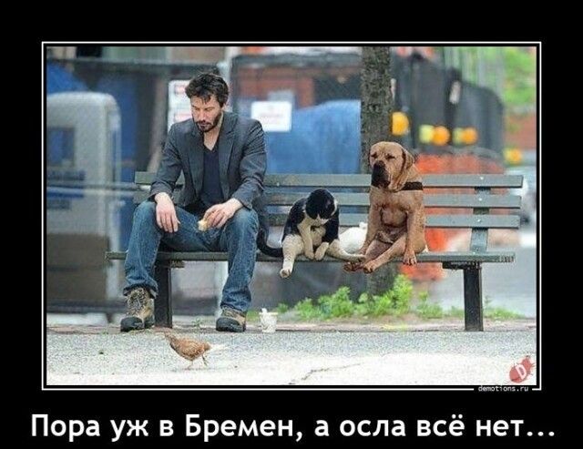 Пора уж в Бремен а оспа всё нет