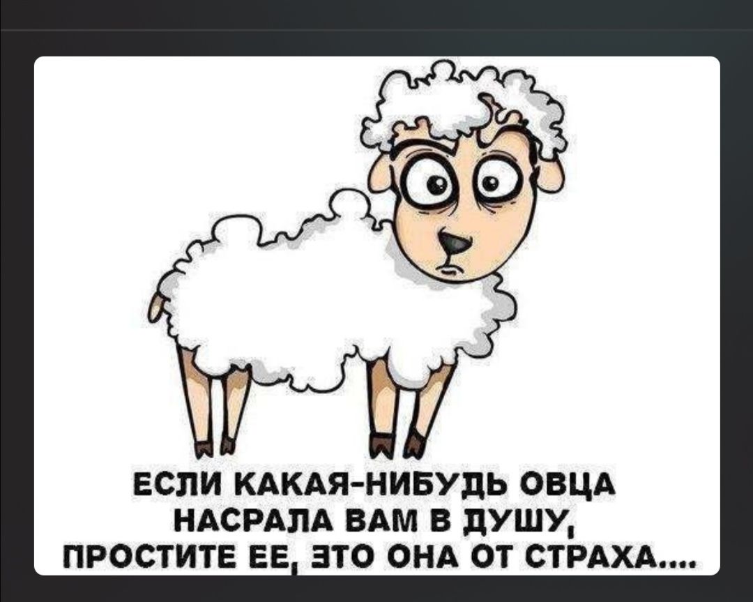 ЕСЛИ КАКАЯ НИБУДЬ ОВЦА НАСРАПА ВАМ В душу ПРООТИТЕ ЕЕ ЭТО ОНА ОТ СТРАХА