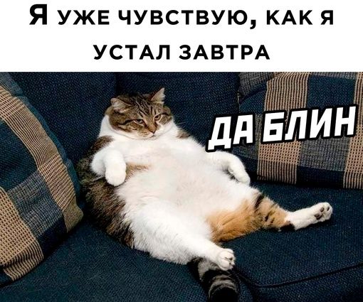 Я УЖЕ чувствую КАК я УСТАЛ ЗАВТРА дд БЛИН аи