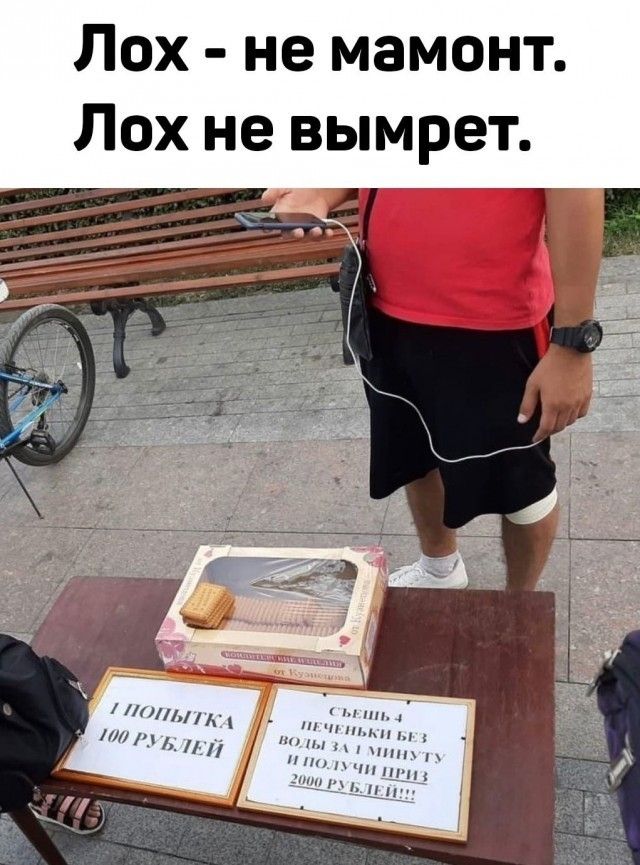 Лох не мамонт Лох не вымрет И