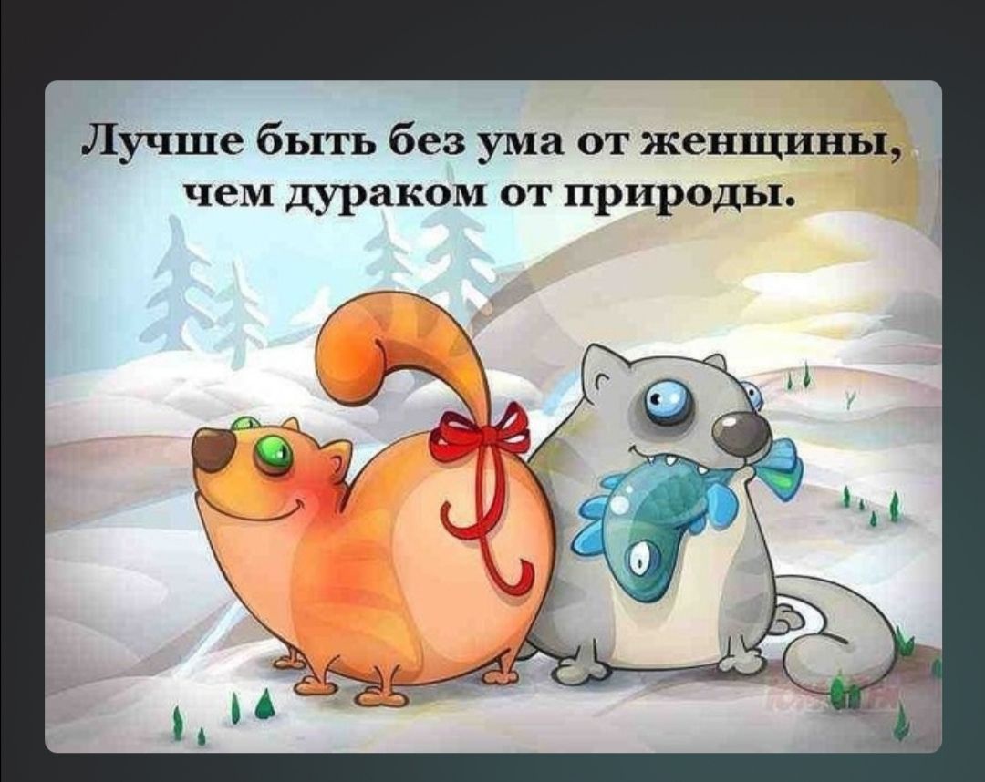 Лучше быть без ума от женщины чем дуракам от природы
