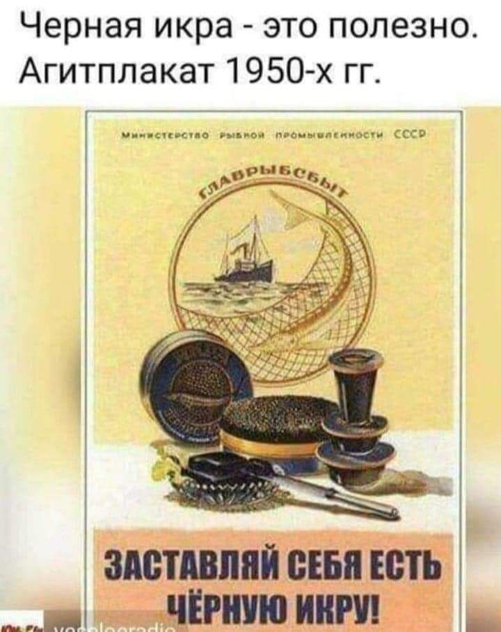 Черная икра это полезно Агитплакат 1950 х гг здешний шить _пі ЁРИШ і