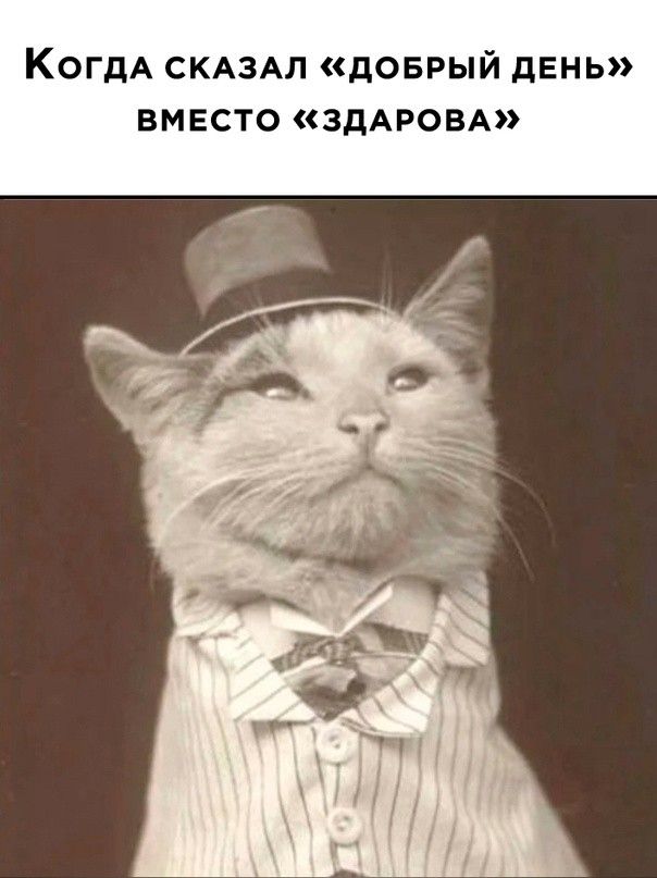 КОГДА СКАЗАЛ дОБРЫЙ ДЕНЬ ВМЕСТО ЗДАРОБА