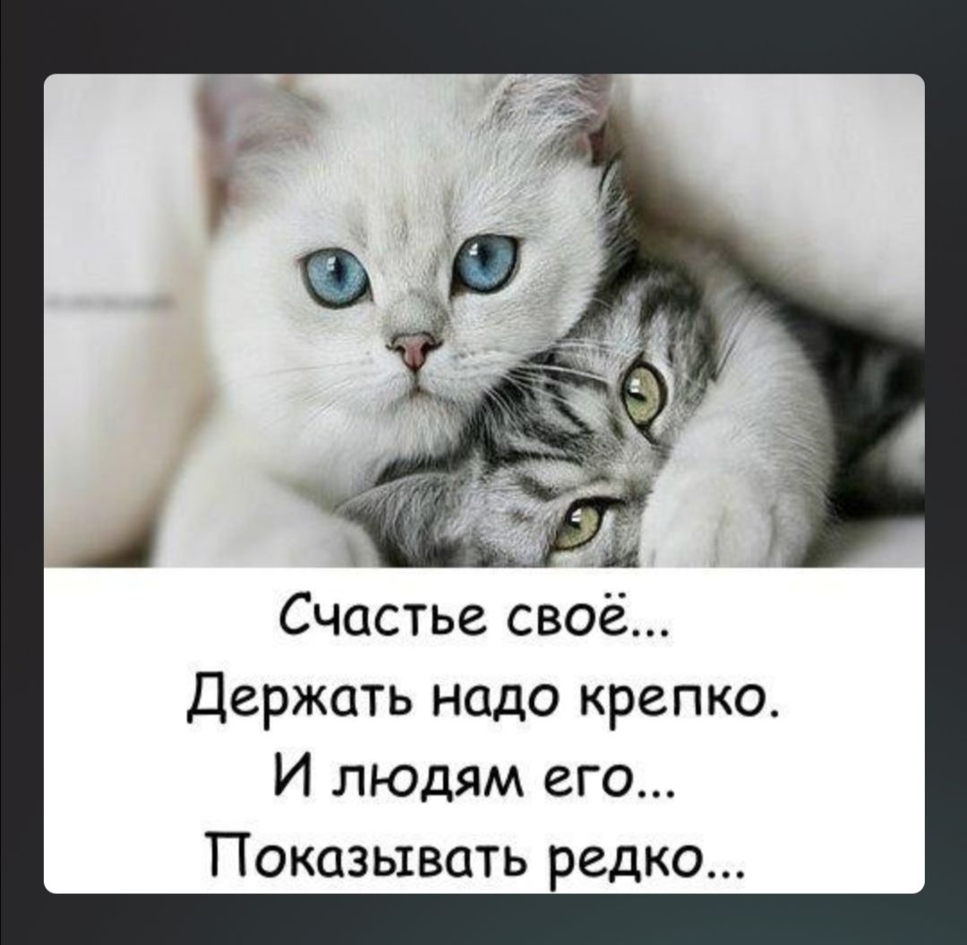 Счастье своё держать надо крепко И людям его Показывать редко