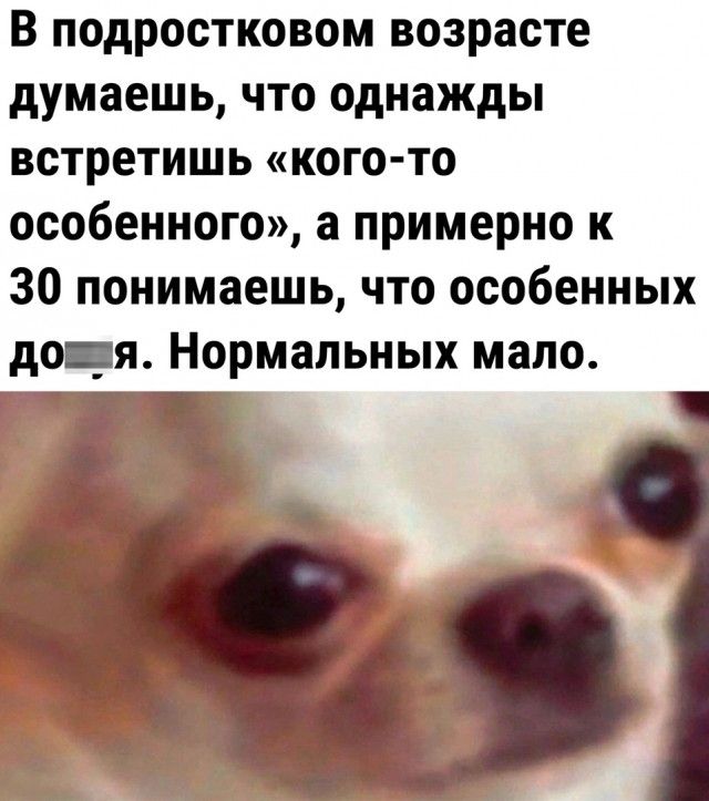 В подростковом возрасте думаешь что однажды встретишь кого то особенного а примерно к 30 понимаешь что особенных до _я Нормальных мало