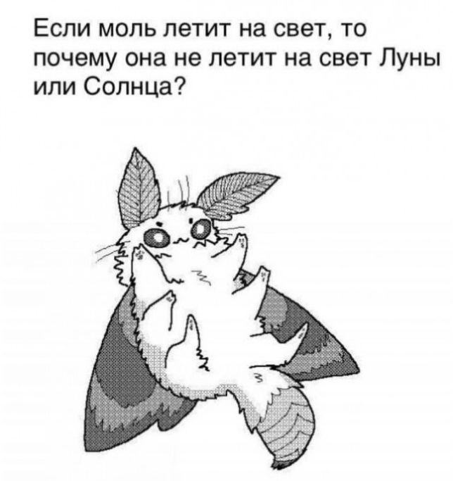 Если моль летит на свет то почему она не летит на свет Луны или Солнца