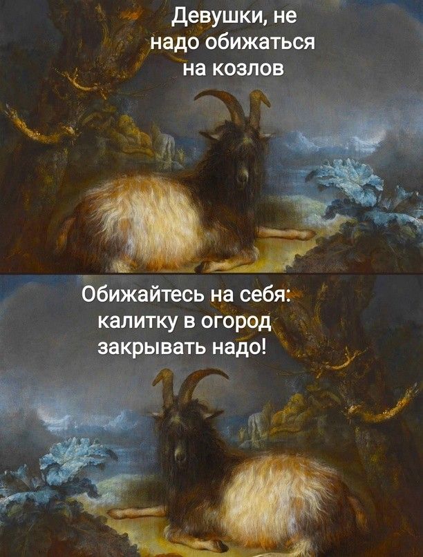 ч девушки не надо обижаться на коал _ ЪБижайтесь на себя калитку в огород закрывать надо _ тд ё