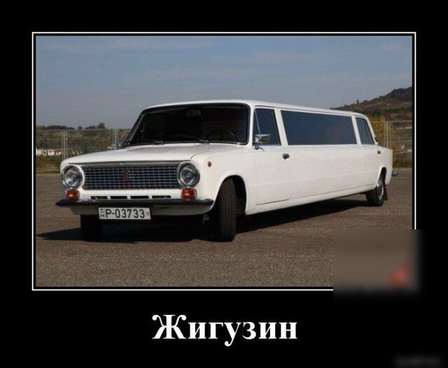 Жигузин