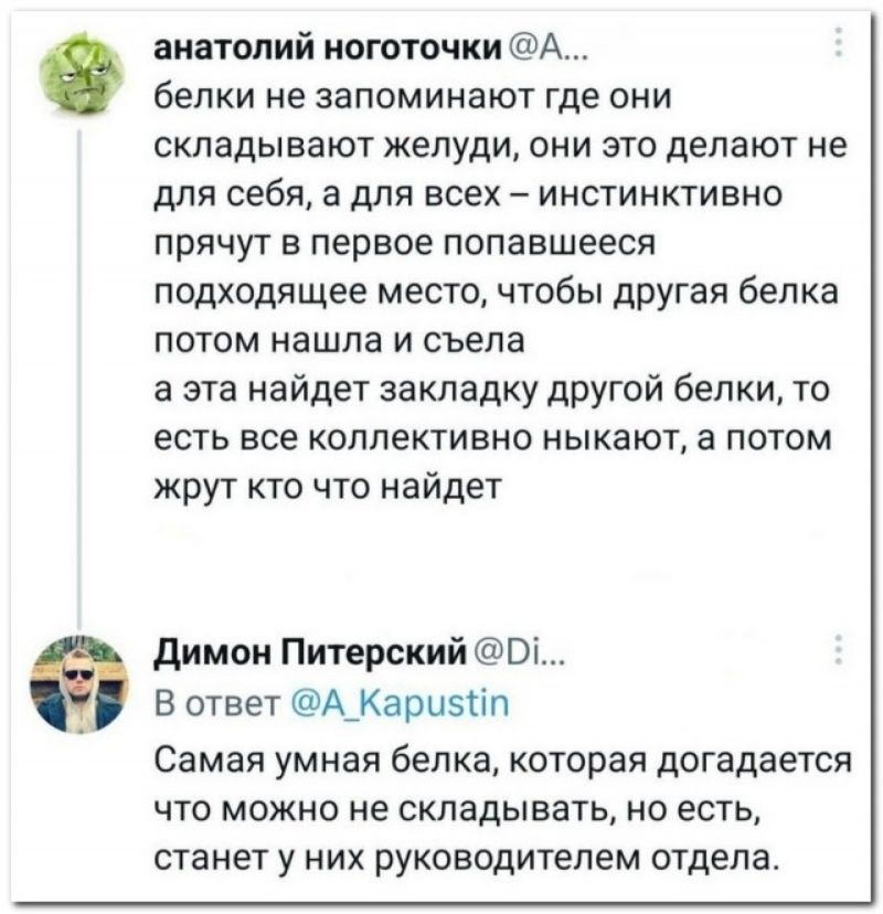 анатолий иоготочки А белки не запоминают где они складывают желуди они это делают не для себя а для всех инстинктивно прячут в первое попавшееся подходящее место чтобы другая белка потом нашла и съела а эта найдет закладку другой белки то есть все коллективно ныкают а потом жрут кто что найдет Димон Питерский0і В ответ А_Карп5іп Самая умная белка которая догадается что можно не складывать но есть 