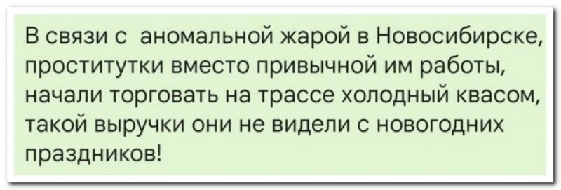 в связи с аномальной жарой в Новосибирске проститутки вместо привычной им работы начапи торговать на трассе холодный квасом такой выручки они не видели новогодних праздников