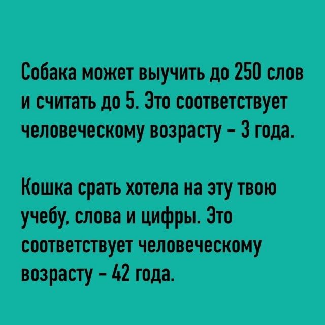 шдшм ижиіпщ т Зш иттиут МЫдт шину пт