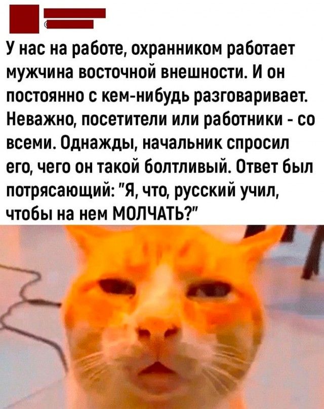 _ П У нас на работе охранником работает мужчина восточной внешности И он постоянно с кемнибудь разговаривает Неважно посетители или работники со всеми Однажды начальник спросил его чего он такой болтливый Ответ был потрясающий Я что русский учил чтобы на нем МОЛЧАТЬ 3 __