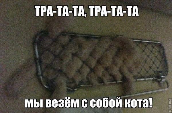 ТНПА ТП ТРП Тд Тд мы везём с собой кота