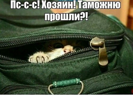 Пн с ЁЁТЁЧ Ё___