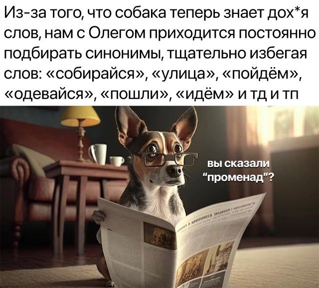Из за того что собака теперь знает дохя слов нам с Олегом приходится постоянно подбирать синонимы тщательно избегая слов собирайся улица пойдём сдавайся пошли Идём И Тд И ТП вы сказали променад