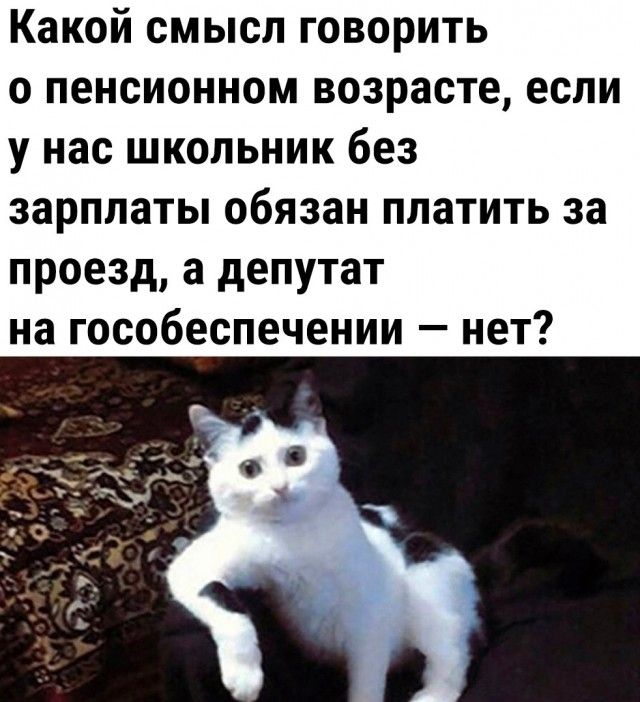 Какой смысл говорить о пенсионном возрасте если у нас школьник без зарплаты обязан платить за проезд а депутат на гособеспечении нет
