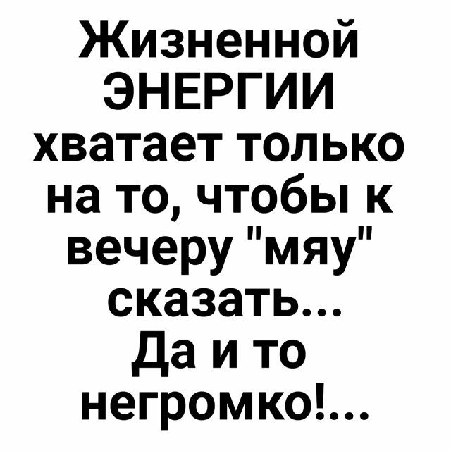 Жизненной ЭНЕРГИИ хватает только на то чтобы к вечеру мяу сказать да и то негромко