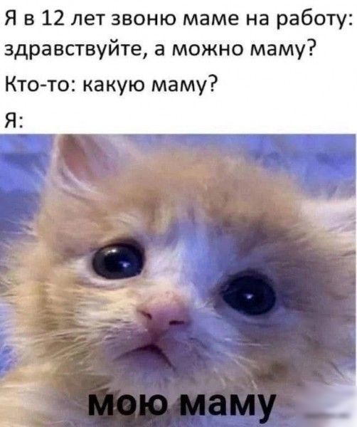 Я в 12 лет звоню маме на работу здравствуйте а можно маму Ктото какую маму