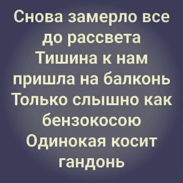 Снова замерло все до рассвета Тишина к нам пришла на балконь Только слышно как бензокосою Одинокая косит гандонь