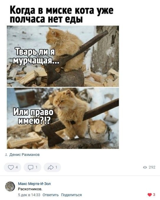 Когда В миске кота уже ПОДЧЗСЗ иет еды Мтс Мии лизал Р щтиитн е иза мы поделится