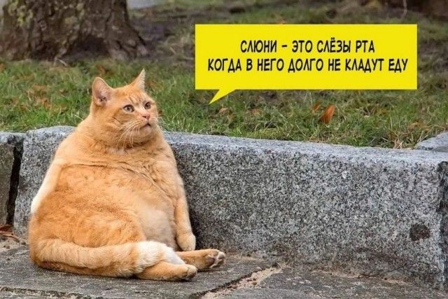 ЭТО САЁЗЫ РГА КОГМ ИЕП дОЛГО ИЕ ММП БАУ
