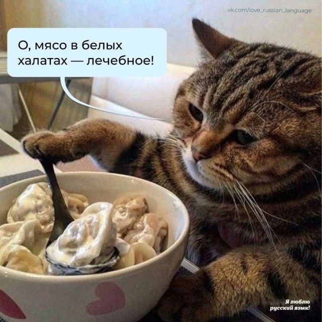 О Мясо в белых халатах лечебное и