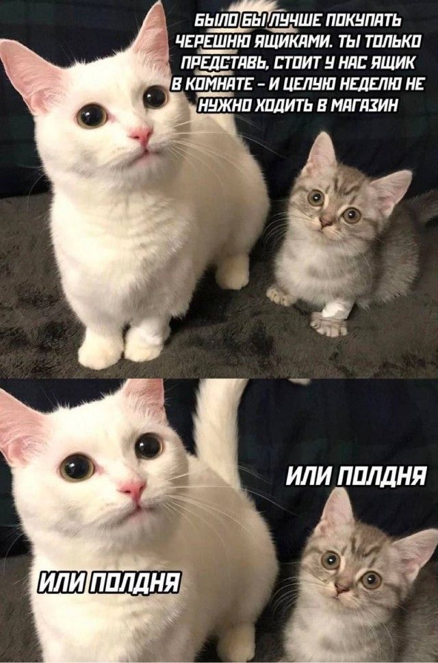 5ьшп5ь__чш ппкнплть пиши нитками ты тлькп пдштлвь плит и на ящик в кЩлтг и ислнш неделю не нщкип хпдить и интим ИЛИ ППЛДНЯ даа