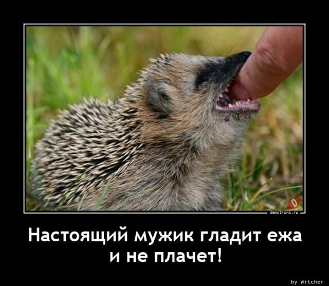 Настоящий мужик гладит ежа и не плачет