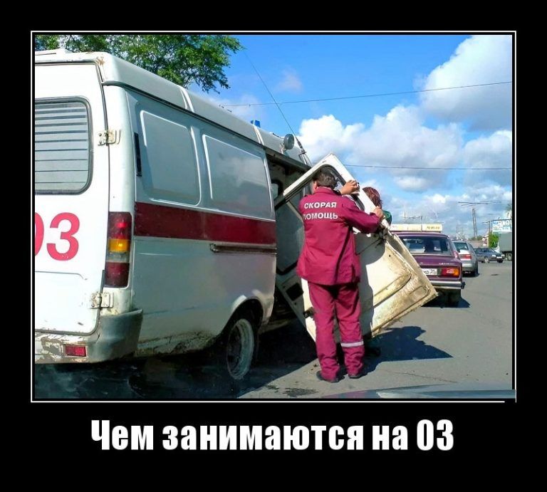 Чем занимаются 03
