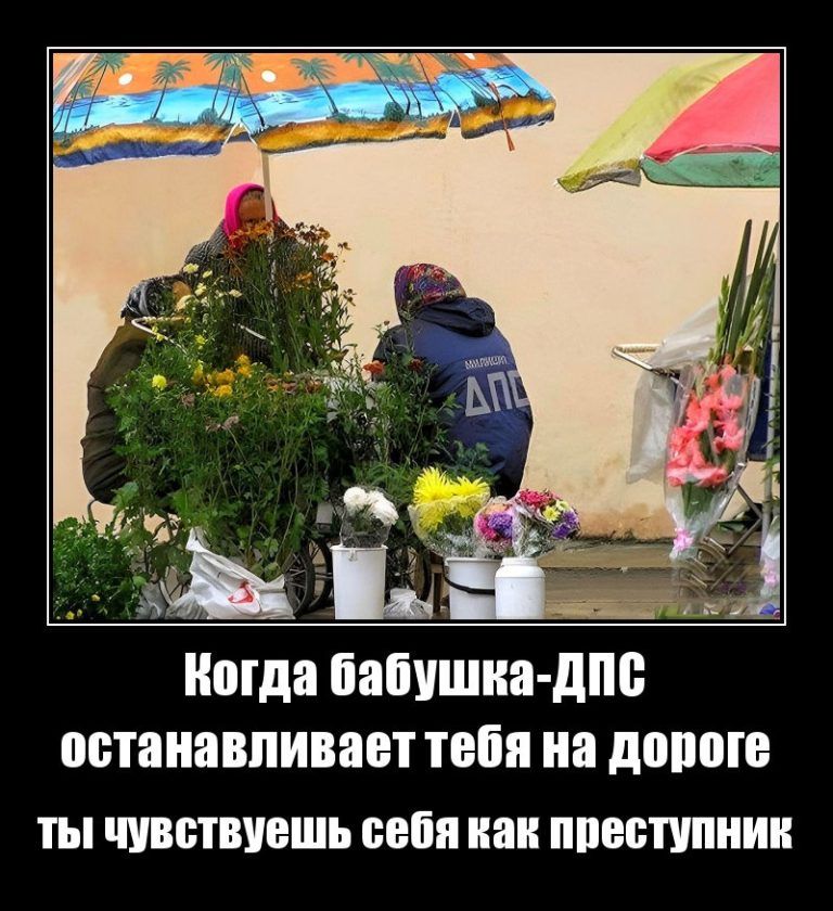 Когда ЁЗБУШИЯ д ПБТЯИЯВПИВЗВТ ТОЙ иа дВШПП ТЫ МБПШВШЪ БОШ кан ппвступиии