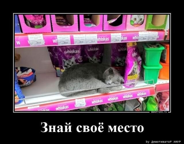 Знай своё место