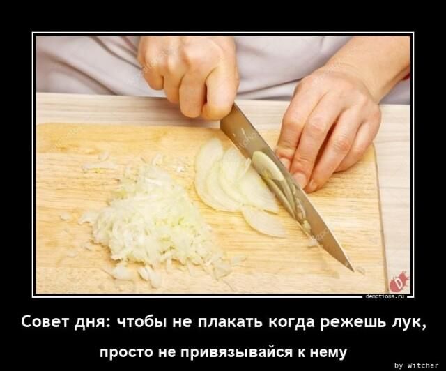 Совет дня чтбы не плакать когдз режешь пук прост и привязывайся к нему