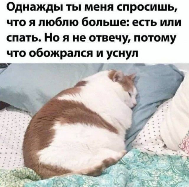 Однажды ты меня спросишь что я люблю больше есть или спать Но я не отвечу потому что обожрапся и уснул