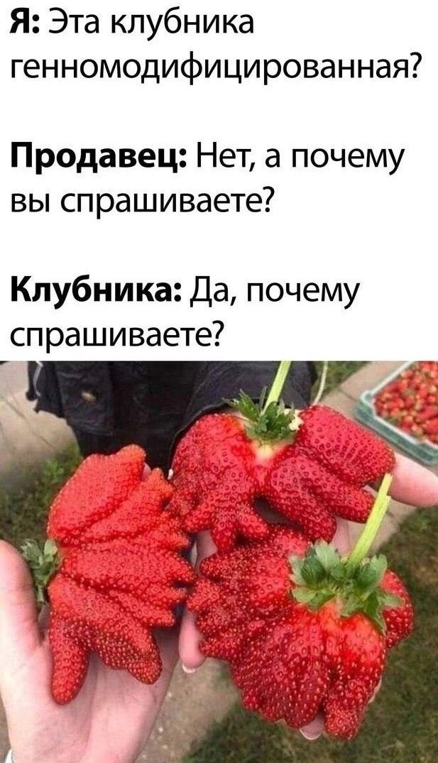 Я Эта клубника генномодифицированная Продавец Нет а почему вы спрашиваете Клубника Да почему спрашиваете
