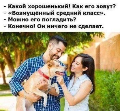 Какой хорошенький Как его зовут Возмущённый средний класс Можно яго погладить Конечно Он ничего не СДЕПВЕТ
