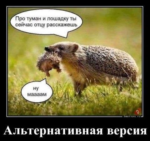 Альтернативная версия