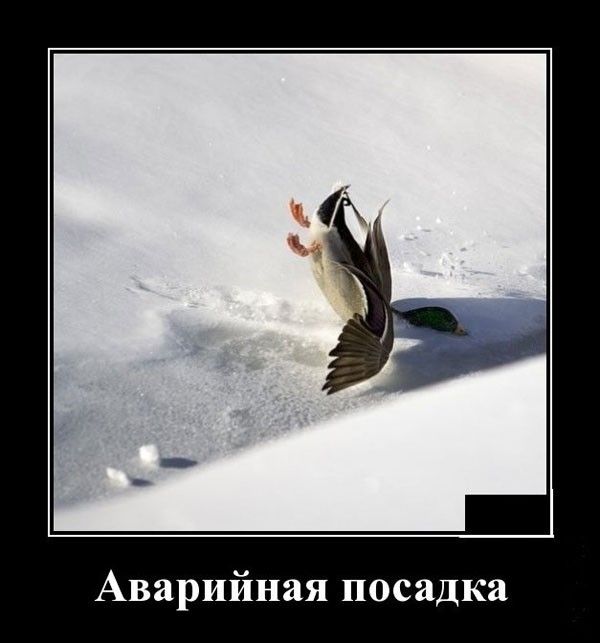 Аварийная посадка