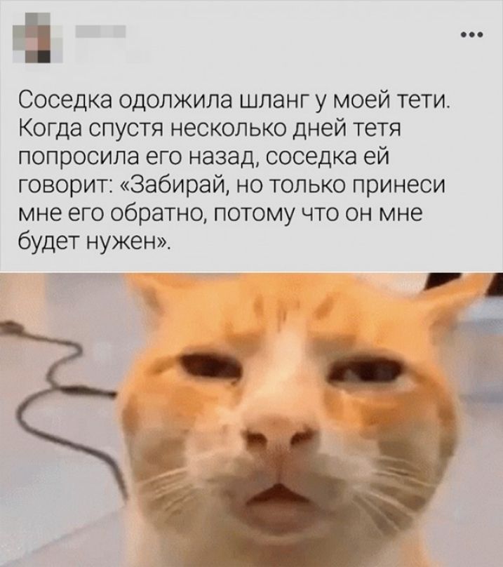 Соседка одолжила шланг у моей тети Когда спустя несколько дней тетя попросила его назад соседка ей говорит Забирай но только принеси мне его обратно потому что он мне будет нужен __