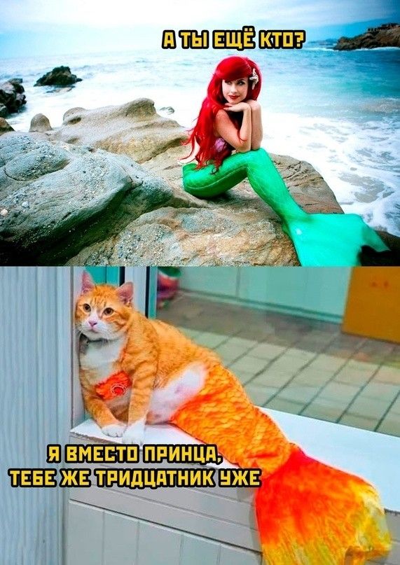 _ Я ЕМЕЕТП ПРИНШЪ шап Ёіі __