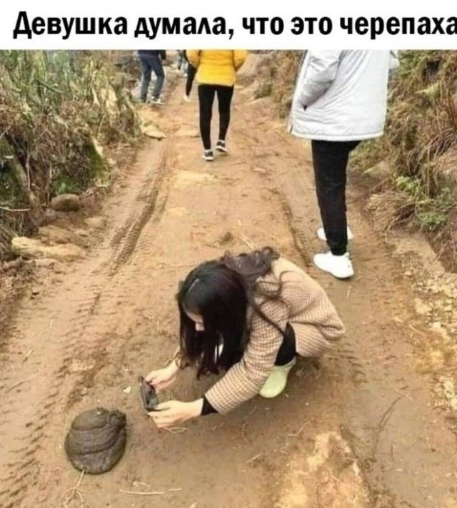 черепах Аевуш ка Аум ама что это гіс