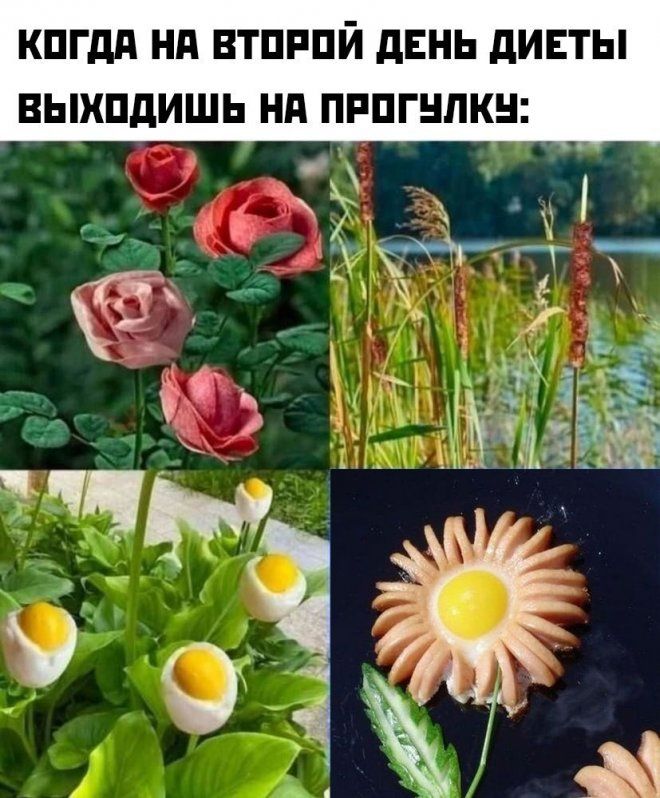 КПГдд НП ВТПРПЙ дЕНЬ дИЕТЫ ВЫХПдИШЬ НП ПРПГНПКН