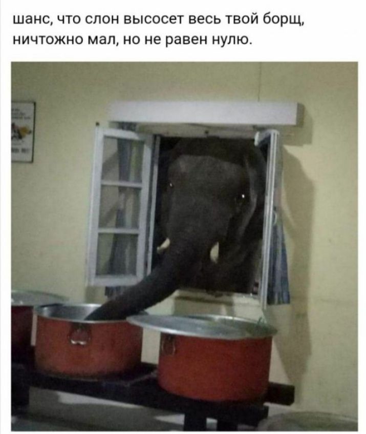 шанс что слон высосет весь твой борщ ничтожно мап но не равен нулю